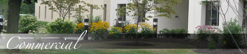 landscaping-raleigh-commercial-PlanTenders